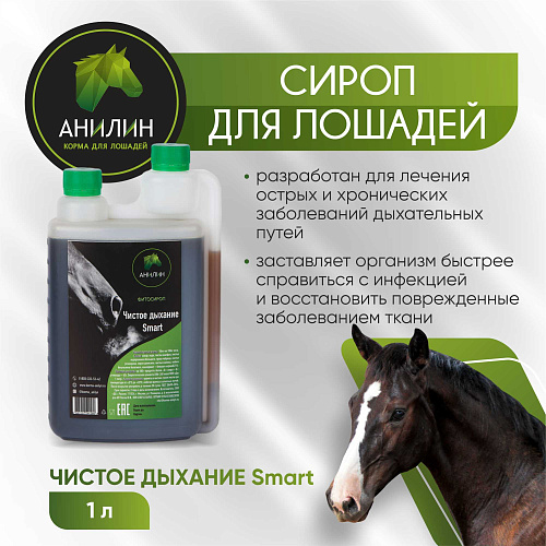 Фитосироп Чистое дыхание Smart 1л д/лечения заболеваний дыхательных путей Анилин   