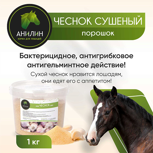 Чеснок сушеный (порошок) 1кг Анилин                                                                    