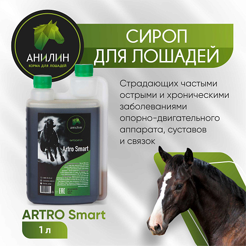 Фитосироп Artro Smart 1л при хронических заболеваниях двигательного аппарата Анилин   